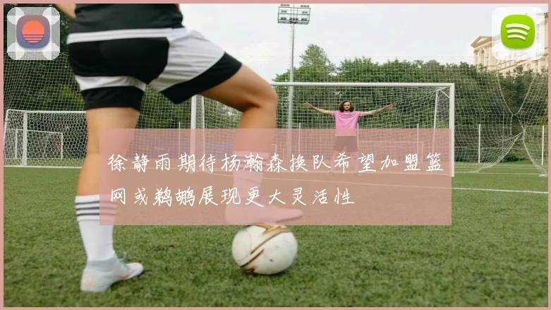 徐静雨期待杨瀚森换队希望加盟篮网或鹈鹕展现更大灵活性